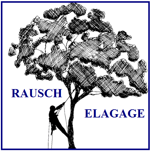 Logo-rausch-elagage