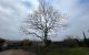 Couper et évacuer arbre à Villefontaine