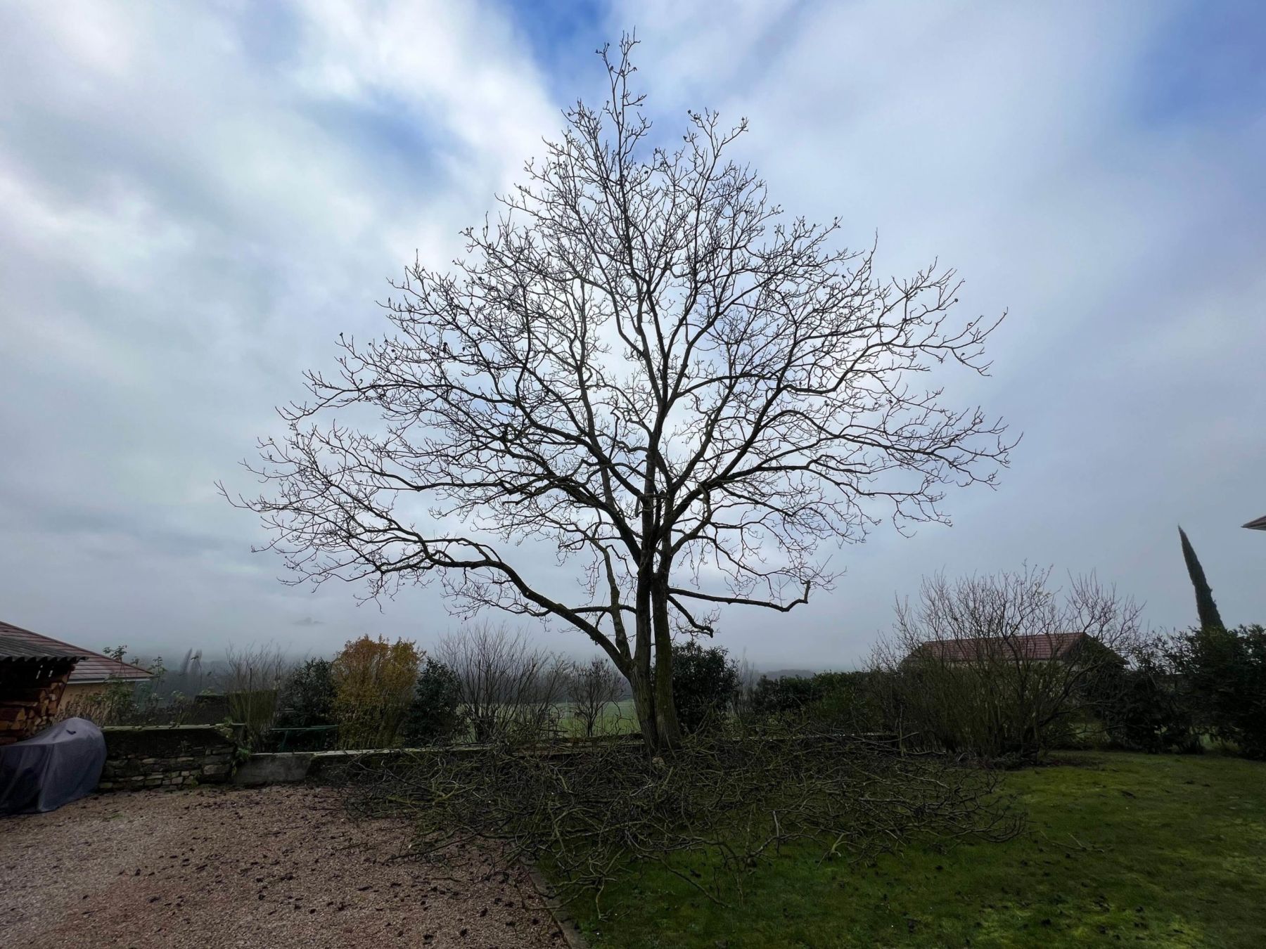 Couper et évacuer arbre à Villefontaine