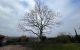 Couper arbre Crémieu