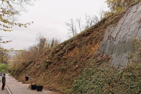 Couper un arbre Bourgoin Jallieu
