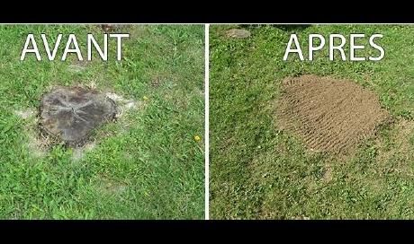 Rognage souche d'arbre