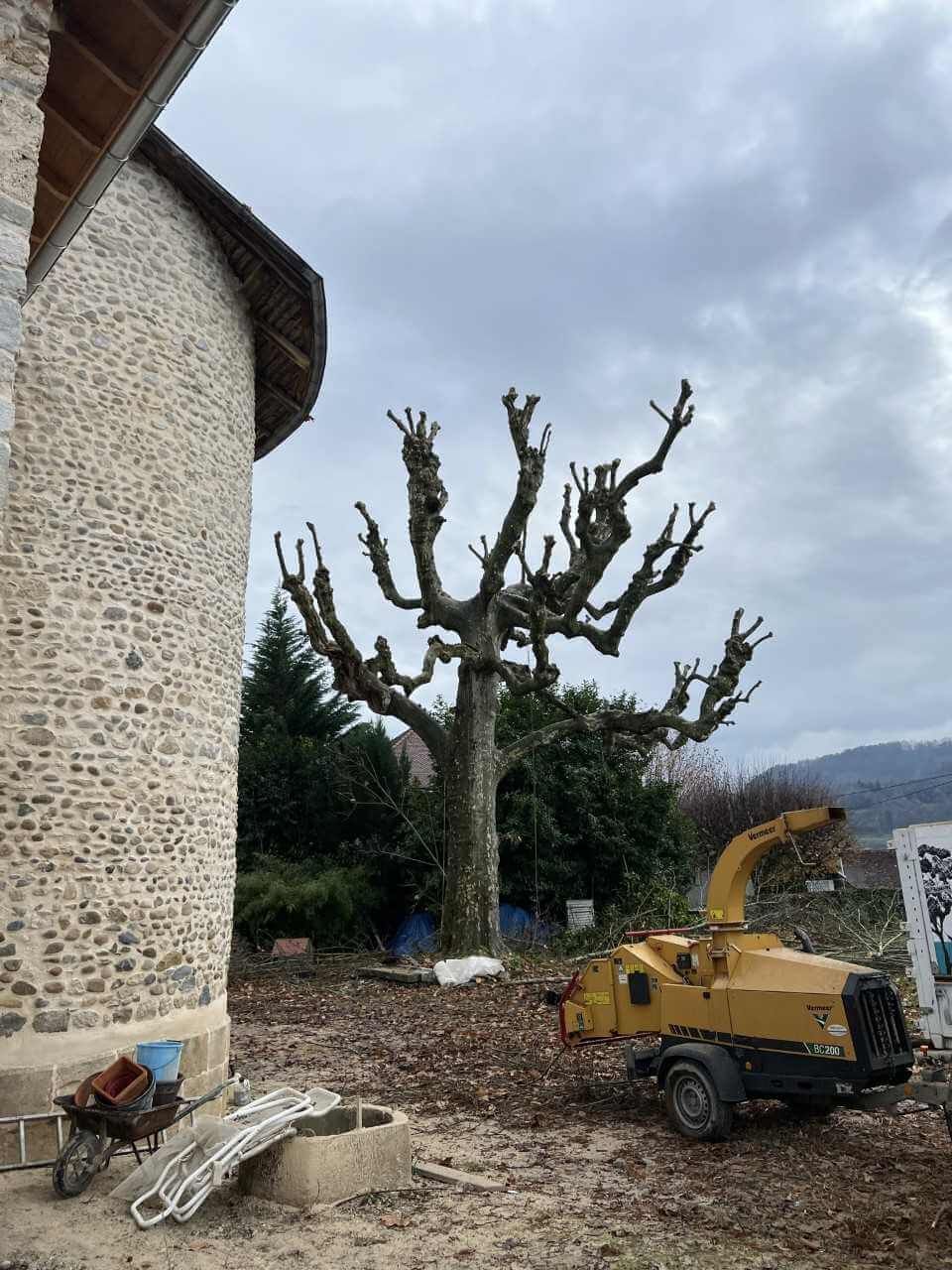 Couper, tailler, élaguer arbre Villefontaine